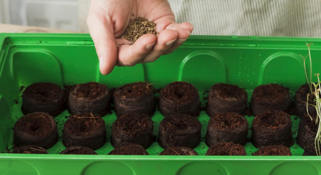 gardening concept with female handss